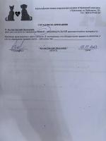 Евгений Костин, изображение к комментарию.