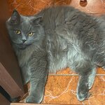 Марина
