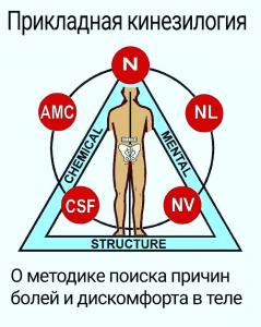 Фотография Здоровая спина 4