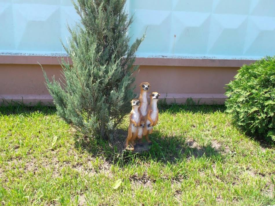 слайд