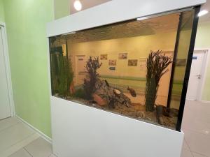 Фотография Орто-н 4