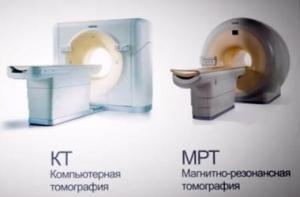 Фотография Возрождение 5