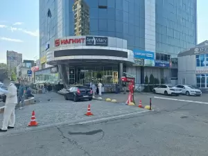 Фотография Пикассо 0