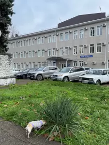 Фотография Городская поликлиника №15 1