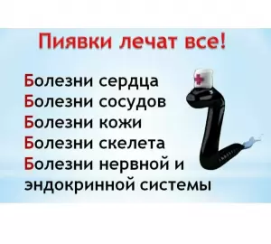 Фотография Клиника на Есенина 1