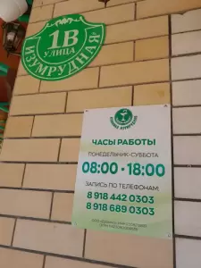 Фотография Изумрудная 2